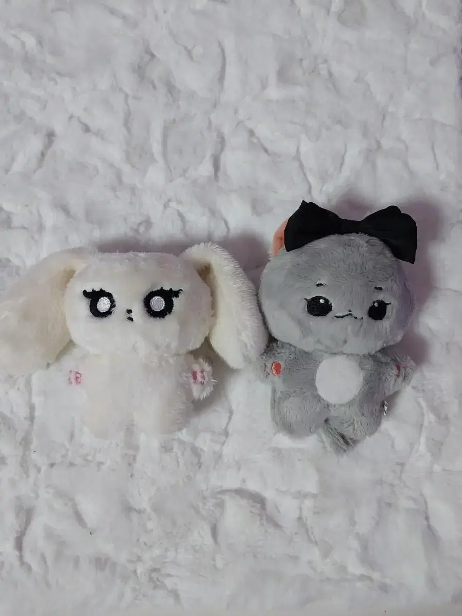 칼냥이,온닝닝